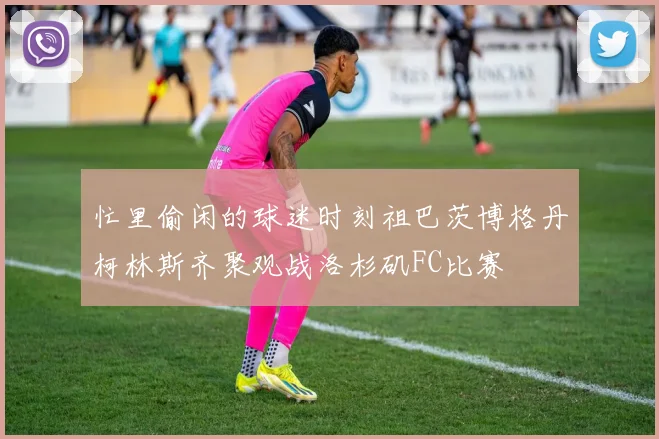 忙里偷闲的球迷时刻祖巴茨博格丹柯林斯齐聚观战洛杉矶FC比赛